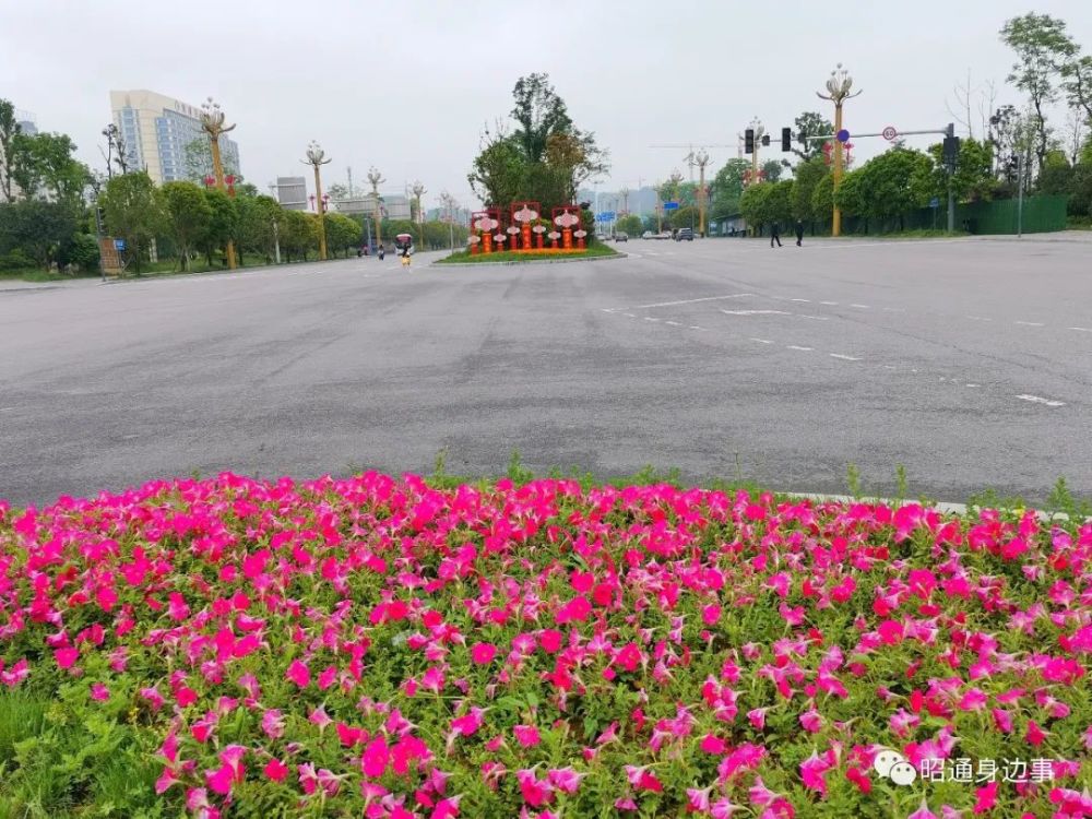鎮(zhèn)雄南部新區(qū)最新動態(tài)，鄰里間的溫情故事展現溫情鄰里關系