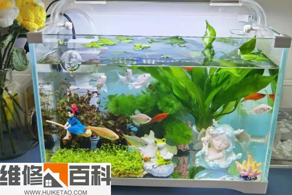 水族箱最新排名揭秘，巷弄深處的隱藏寶藏