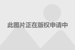 比亞迪上市動態(tài)及小巷特色小店的探索之旅！
