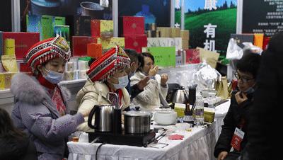 武漢最新動(dòng)態(tài)，城市脈搏躍動(dòng)與未來(lái)展望