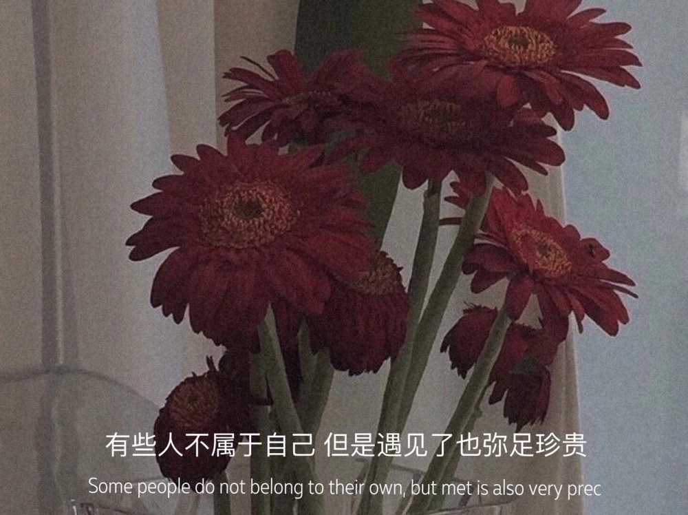 最新優(yōu)質(zhì)文案精選觀點(diǎn)論述薈萃