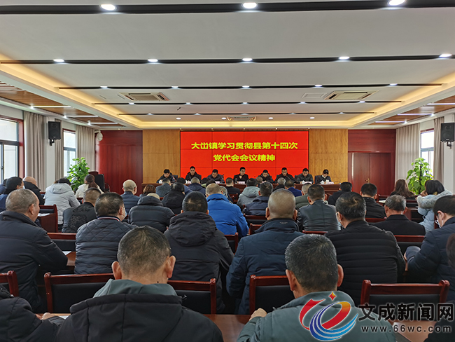 大溪最新動態(tài)速遞