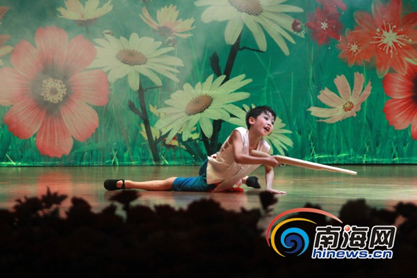 蒲公英比賽的夢(mèng)想與飛翔盛宴??