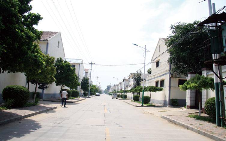 晉州市最新貼吧，城市熱議焦點(diǎn)