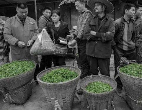 探索日本最新名優(yōu)名字，2025年最新名優(yōu)名字一覽