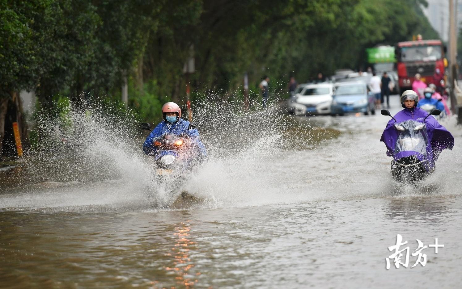 清遠(yuǎn)華僑農(nóng)場(chǎng)最新動(dòng)態(tài)更新