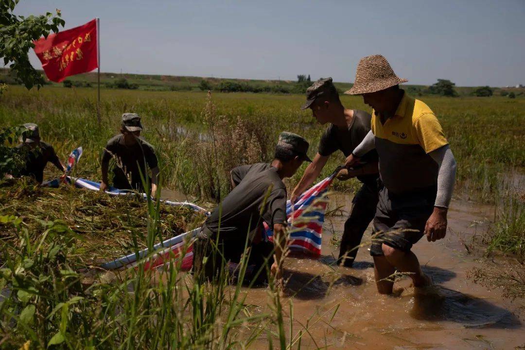 鄱陽饒埠鎮(zhèn)最新動態(tài)，探訪與發(fā)展指南