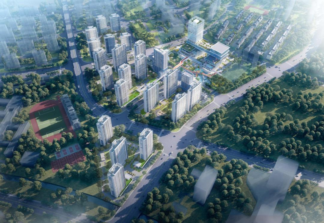 臨浦浦陽江最新動(dòng)態(tài)，小巷深處的獨(dú)特風(fēng)味