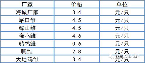 時(shí)代背景下的雛雞市場最新價(jià)格觀察