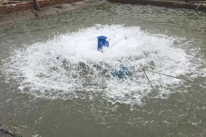 時(shí)代變遷下的綠色革命，最新式魚(yú)塘的崛起