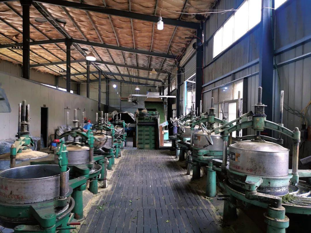 鳳陽(yáng)最新地，小巷深處的獨(dú)特風(fēng)情揭秘