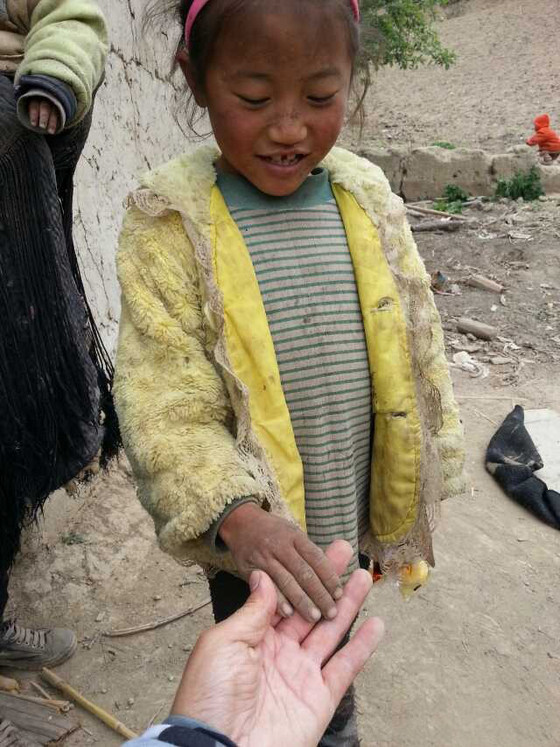 貧困兒童現(xiàn)狀背景與時(shí)代地位深度解析