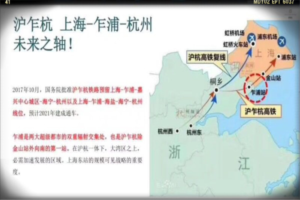 乍浦最新動態(tài)，最新消息匯總