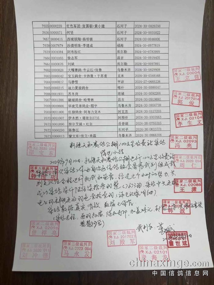 新疆賽鴿公棚最新公告揭秘，小巷特色小店與未知奇妙世界的探索！