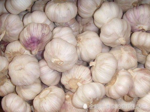 邳州大蒜今日行情，最新價格與蒜香中的溫情故事