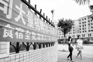 河源東源仙塘最新招聘，時代背景下的新機(jī)遇啟航
