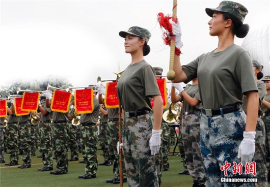 我的女兵我的團(tuán)全新背景、事件與影響深度解析，揭秘最新動態(tài)與影響！