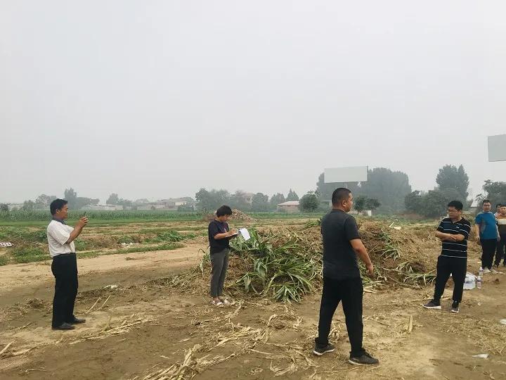 永年區(qū)最新工程項(xiàng)目，時(shí)代印記與未來展望之路